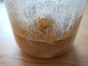 甜菜糖を使った梅シロップの作り方 3日目