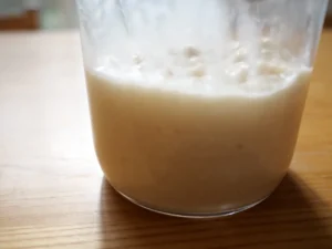 簡単レシピ 塩麹の作り方 乾燥麹 米麹 自然塩 ミネラルウォーター 冬 6日目 発酵