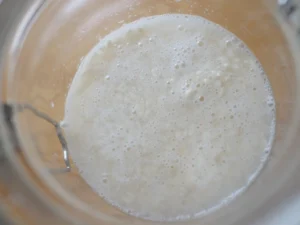 簡単レシピ 塩麹の作り方 乾燥麹 米麹 自然塩 ミネラルウォーター