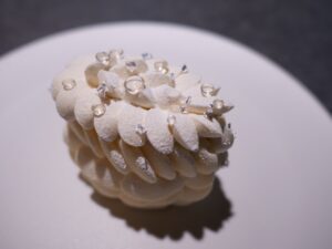 京都ひとり旅 美と食を慈しむ街歩き RAU Patisserie & Chocolate Shiro ラウ デセール