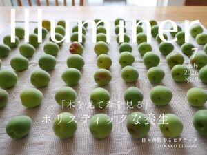 Illuminer Magazine 7月号